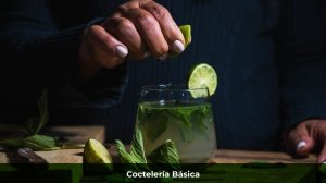 Coctelería Básica